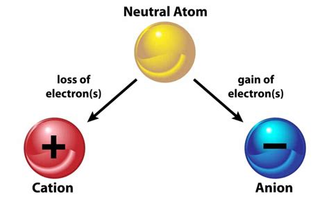 Amazing Tricks To Understanding Cations and Anions: Key Concepts and Differences | by NEERAJ ...