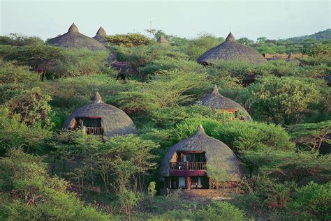 Serengeti Serena Safari Lodge - UPDATED 2022 Prices, Reviews & Photos ...