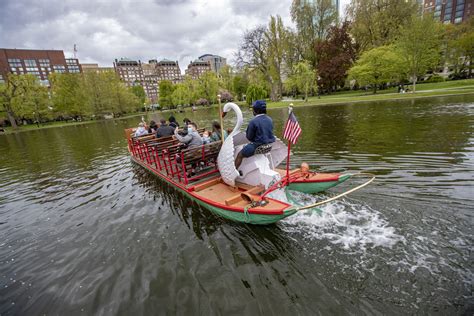 The Return Of Boston's Swan Boats A Welcome Sight In The Public Garden | WBUR News