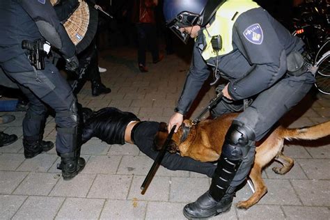 Dutch police hunt, violently disperse Turkish protesters with K-9 dogs ...