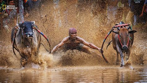 The 2016 National Geographic Nature Photographer of the Year contest