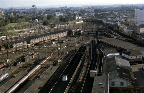 Central railway station in Sydney, c1972 | Railway station, Railway, Railroad tracks