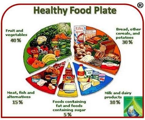 Complete guide to Weight Reduction Part 2 of 3 : Healthy Food plate ...