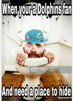 Dolphins suck memes