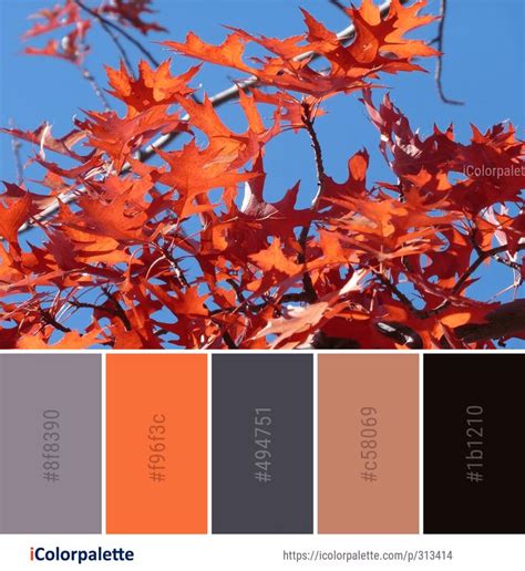 Color Palette ideas #icolorpalette #colors #inspiration #graphics #design #inspiration # ...