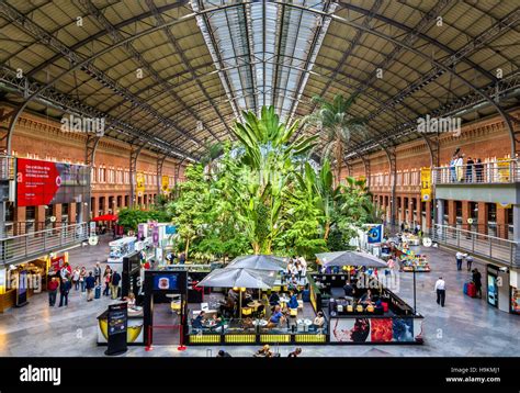 Covered tropical garden inside the old building of Atocha railway station Stock Photo - Alamy