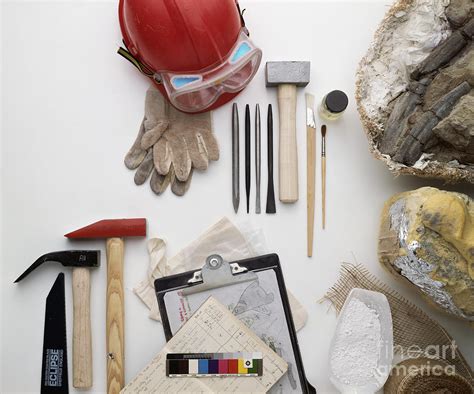 Paleontologists Equipment Photograph by Colin Keates / Dorling ...