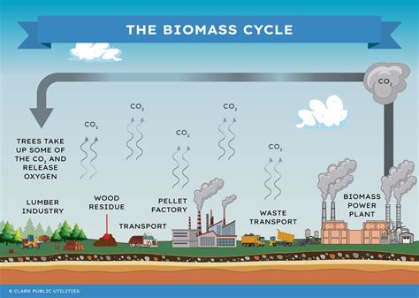 Biomass Power Plant Diagram For Kids