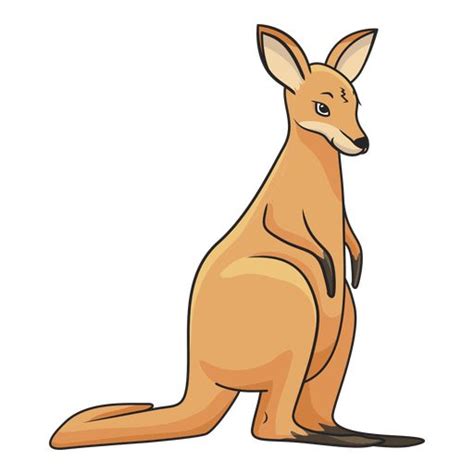 Australian Kangaroo Drawing