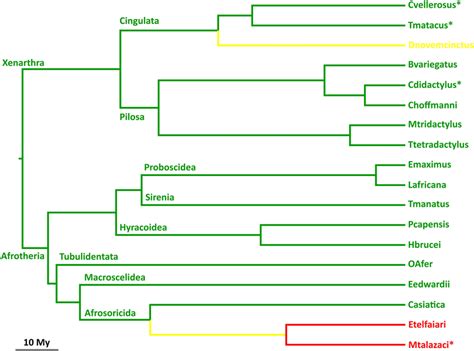 PCSK9 gene function is preserved in all orders, but not all species, of... | Download Scientific ...