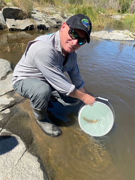 Tenterfield restore endangered Southern Purple Spotted Gudgeon habitat | OzFish Unlimited