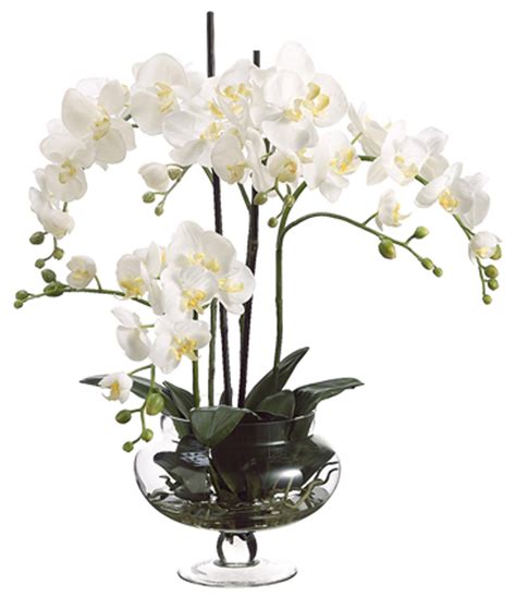 Cream Orchids in Clear Glass Vase 25" High Faux Flowers - #N6668 | Lamps Plus | Orchid ...