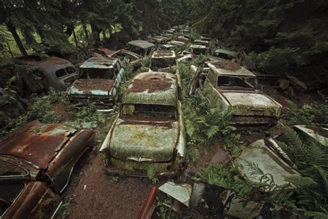 50+ Old Abandoned Car in Forest, Mother Nature Will Have Her Ways ...