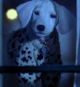 What is your fav. funny scene a movie Dog does? - Movie Dogs Answers - Fanpop