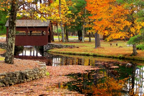 Our fall seasons in NH are simply stunning! | Cool places to visit ...