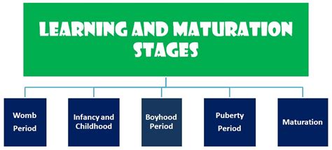 Learning and Maturation Stage | What is Maturation in Child Development