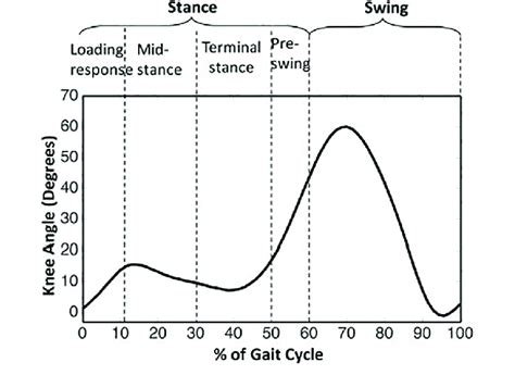 Path of knee flexion during gait cycle to the health person for... | Download Scientific Diagram