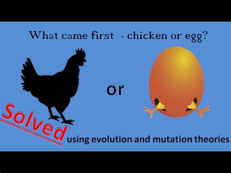 Which came first - the chicken or the egg? Obviously, Egg! Solved by Evolution Theory - YouTube