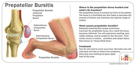 Diz Bursiti (Patellar Bursitis) | Op. Dr. Utku Erdem Özer