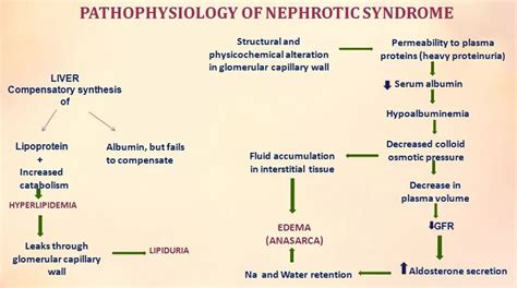 Nephrotic and Nephritic syndromes - Nurses Revision