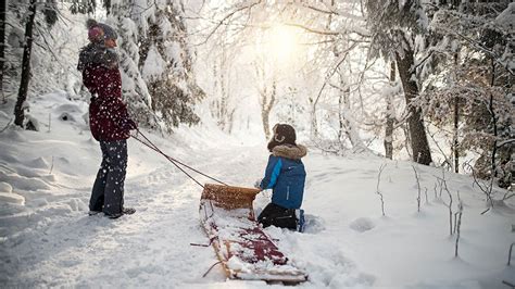 Woods In Winter: Things To See And Do - Woodland Trust