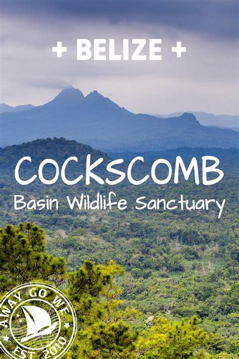 Cockscomb Basin Wildlife Sanctuary & Jaguar Preserve | Cockscomb basin ...