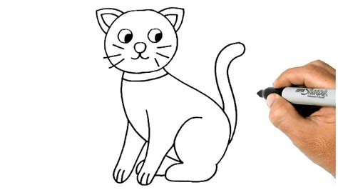 How to Draw a CAT Easy and Simple - YouTube