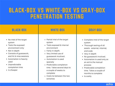 Black Box Penetration Testing: A Complete Guide