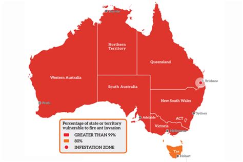 How fire ants arrived in Australia | National Fire Ant Eradication Program