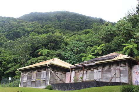 Guadeloupe, la Soufriere volcano, Bains-Jaunes