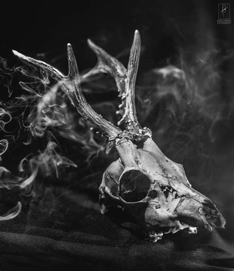 Bone and smoke by AdrianBukowski on DeviantArt