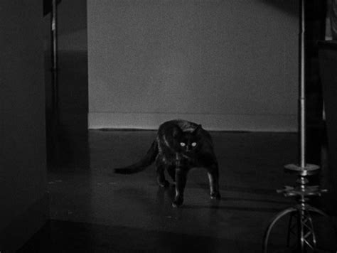 The Black Cat (1934) Review – Pre-Code.Com