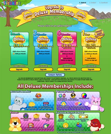 eStore - Webkinz Membership on Behance