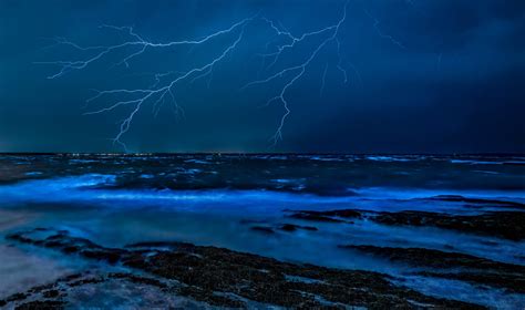 5 Must-See Bioluminescent Beaches Around the World