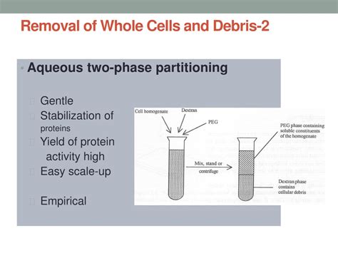 PPT - Purification of Enzymes PowerPoint Presentation, free download - ID:9312513