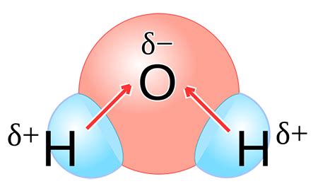 Specific Heat Capacity of Water | Overview, Examples & Importance ...