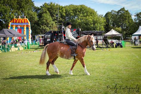 Mirfield Show 2022 | Mirfield Show