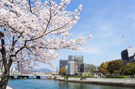 Here Are The Best Places to See Cherry Blossoms in Japan | KAYAK AU