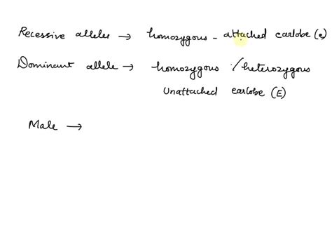 SOLVED: A man with attached earlobes marries a woman with unattached ear lobes, whose father had ...