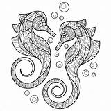 Seahorse Coloring Pages  ColoringBay sketch template