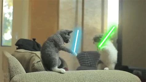 Lightsaber Fight GIFs - Find & Share on GIPHY