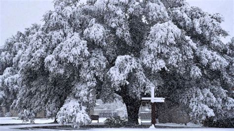 Does It Snow In Waco, Texas? All About Waco Climate