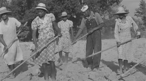 The History of Black Farmers in America – The Kid Should See This