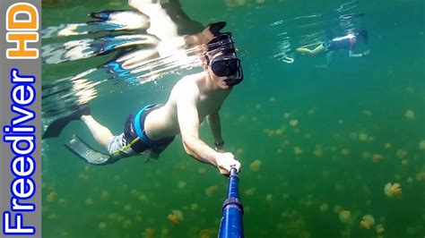 Freediving Palau | Jellyfish Lake | Rock Islands - YouTube