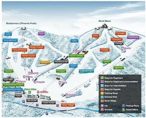 Phoenix Park Trail Map • Piste Map • Panoramic Mountain Map