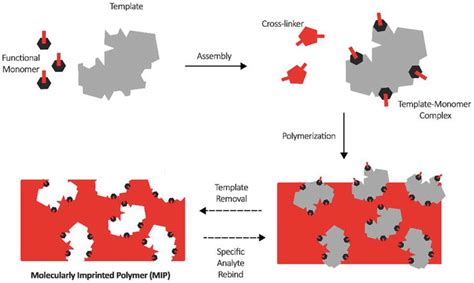 Strategies to Develop Cyclodextrin-Based Nanosponges for Smart Drug Delivery | IntechOpen