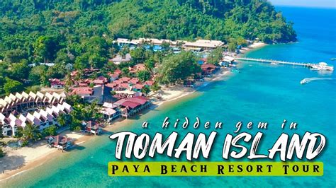 Paya Beach Resort Tioman | Best Things to do & stay in Tioman Island | Malaysia - YouTube