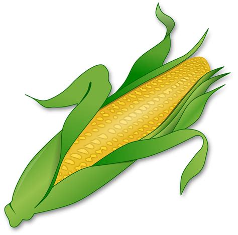 無料ダウンロード corn clipart 457813-Corn clipart black and white - Areplapoovlm