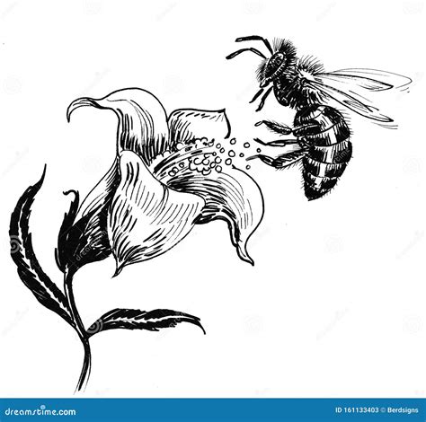 Bee and flower stock illustration. Illustration of blossoming - 161133403