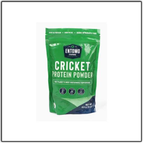 Top 5 Cricket Protein Powder Brands | Food For Net